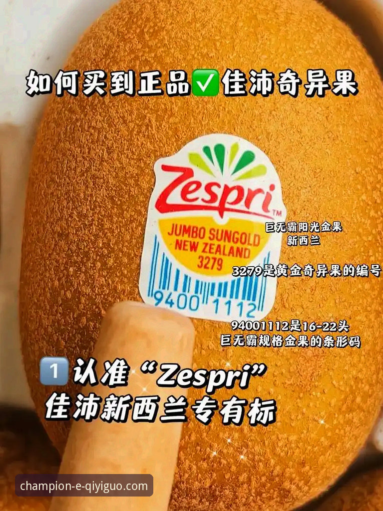 资深用户分享：如何通过奇异果体育官方网站电脑版深度解析骑士魔术对攻大战