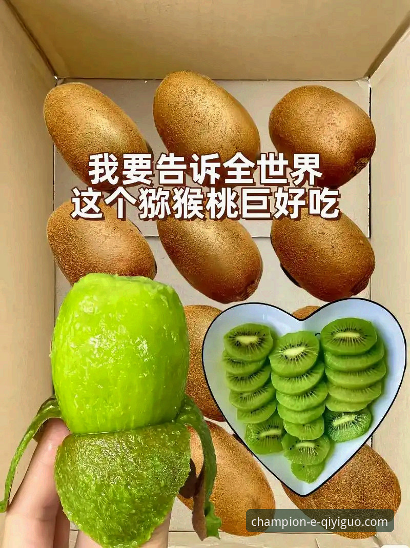 奇异果体育最新版本 奇异果体育平台v2.5.1版本深度解析:功能演进与用户体验优化