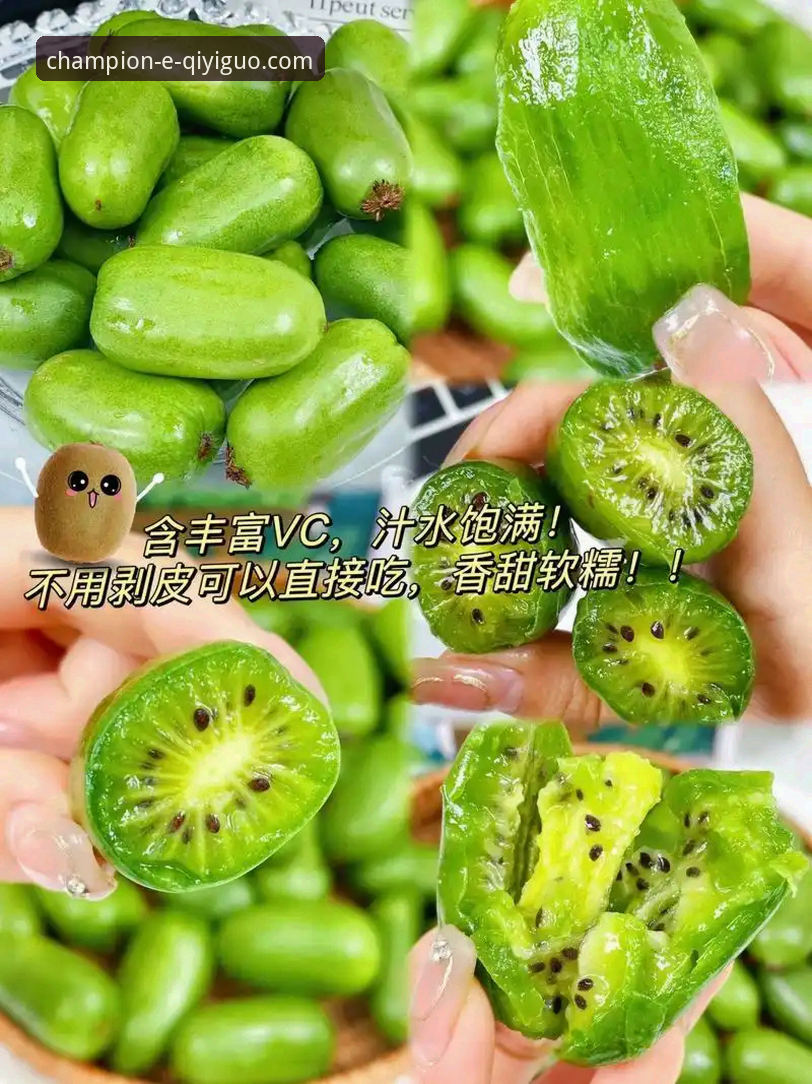 最新奇异果体育安卓版下载值不值得尝试？从专业角度分析v2.1.0版本的实际表现