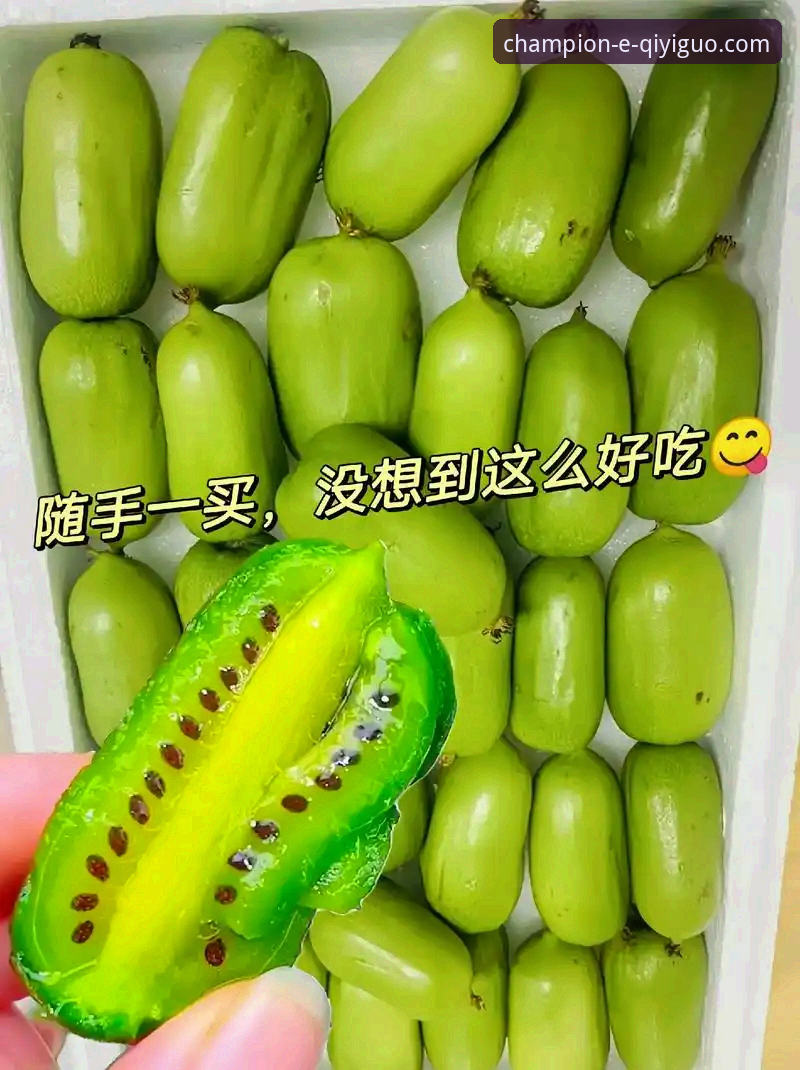 奇异果体育平台安全评估与使用教程：破解新手常见疑虑